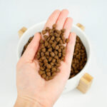 Lenda Adulto Leve & Esterilizado - Image 5