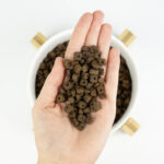 Lenda Mini Peixe Azul do Atlântico 2 Kg - Image 4