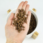 Lenda Gato Sensível & Esterilizado - Image 5