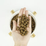 Lenda Light - Image 3