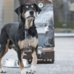 Lenda Cuidados Especiais - Sénior/Mobilidade - Image 4