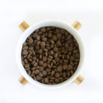 Lenda Cuidados Especiais - Sénior/Mobilidade - Image 7