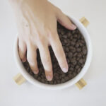 Lenda Puppy Médio - Image 3