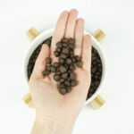 Lenda Puppy Médio - Image 4