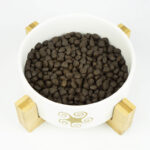 Lenda Puppy Médio - Image 6