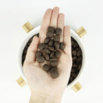 Lenda Salmão - Image 5