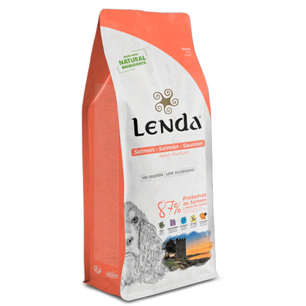 Lenda Salmão