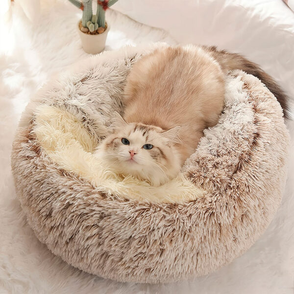 Cama Ninho Ultra Fofinha para Gatos