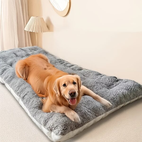 Cama comprida para cão