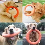 Anel resistente para cães para apanhar mastigar e treinar ao ar livre - Image 2