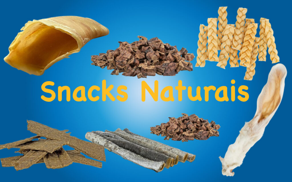 Snacks naturais