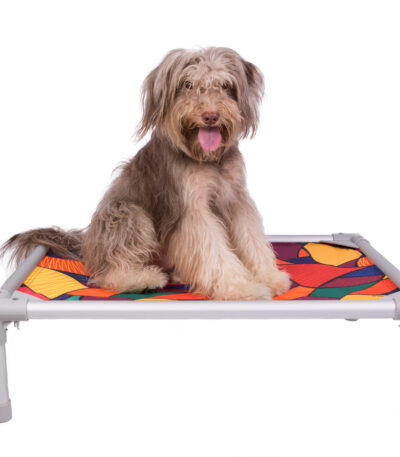 Cama Buddy POP
