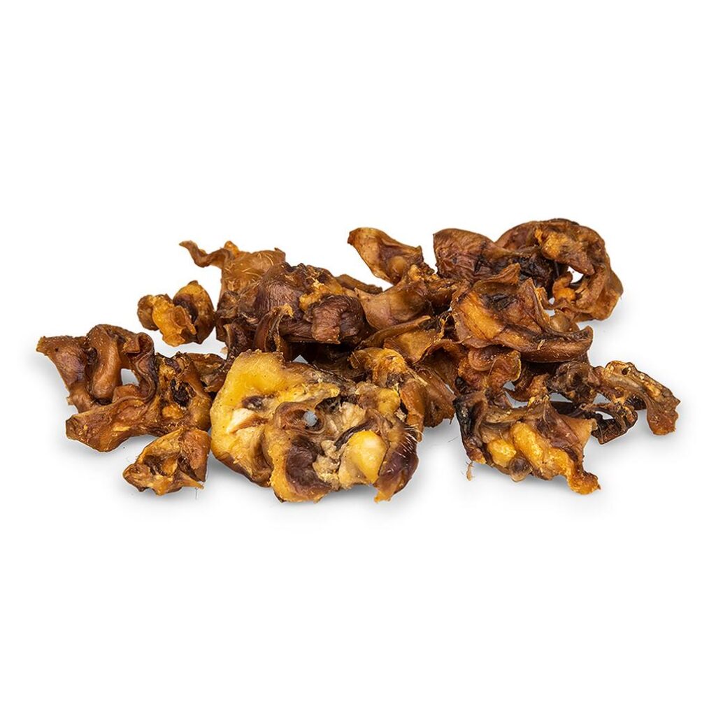 Conchas de orelha de porco