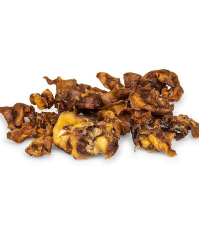 Conchas de orelha de porco