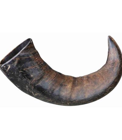 corno de búfalo
